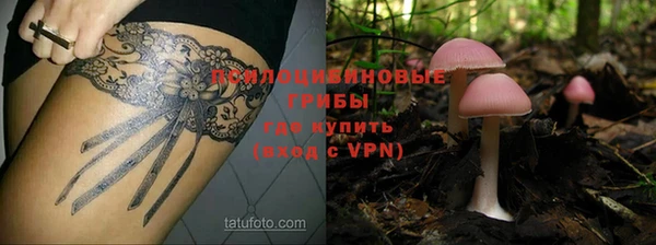 молекула духа Алексин