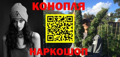 дмт Шебекино